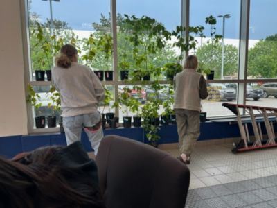 Bertera Subaru of Hartford "Growing a Greener Future Together"