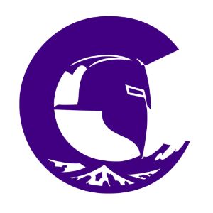 partnerCompanyName