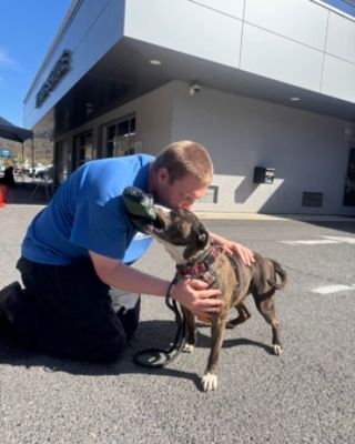 Thoms Subaru Bedford Celebrates Subaru Loves Pets Month with Successful Adoption Drive