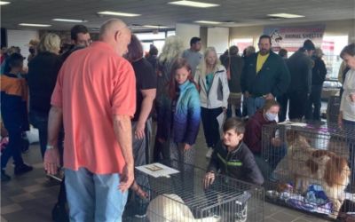 CHA adopts out 40 pets at Subaru Love a Pet Event
