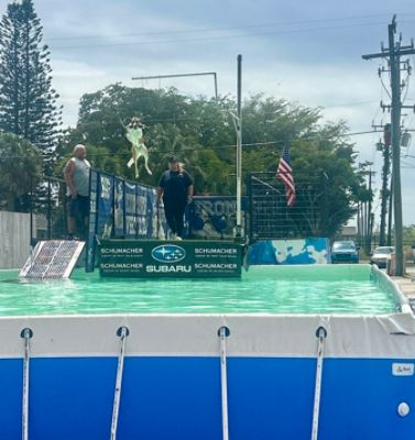 Schumacher Subaru of Delray Beach Sponsors a Dock Dogs Jumping Competition 