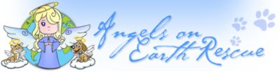 Angels on earth rescue