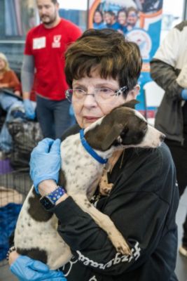 Subaru Loves Pets Month with the Humane Rescue Alliance