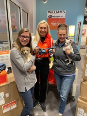 Williams Subaru Loves Pets