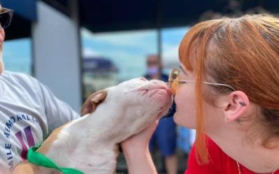 Subaru Loves Pets - Pet Rescue by Judy