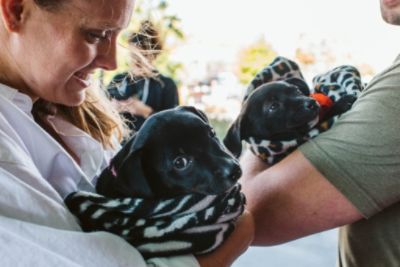Abandoned Puppies Find Loving Homes