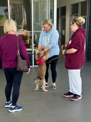 Subaru Loves Pets - SPCA Adoption Event 