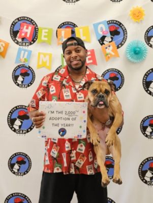 Love in Full Bloom: West Houston Subaru Helps Nearly 600 Pets Find Homes