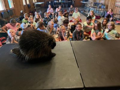 Ciocca Subaru Helps Power the Future of Conservation Education at Lehigh Valley Zoo