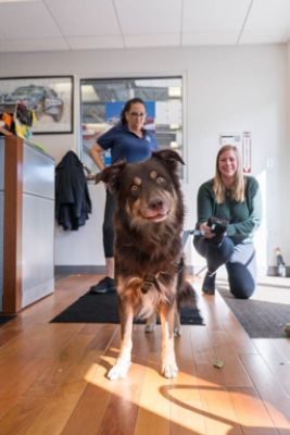 Make a Dogs Day, Make a Kid’s Year!