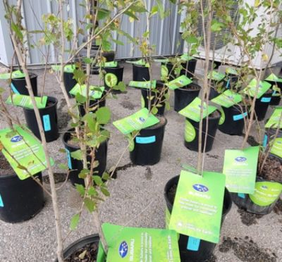Earth Day and TREES 2026