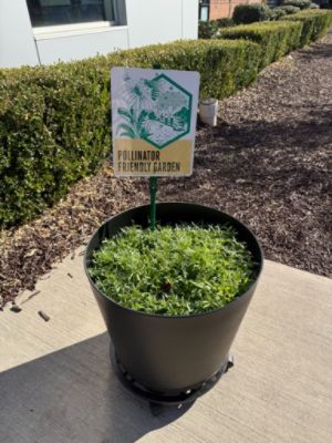 Johnson Subaru Plants a Pollinator Garden
