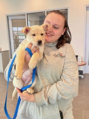 Dog Adoption Event!