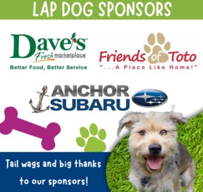 Paws in the Park