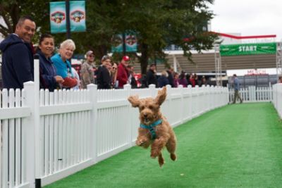 Schlossmann Subaru City of Milwaukee supports Fromm Petfest