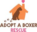 Adopt a boxer Rescue