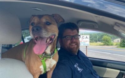 Bentley Found his Forever