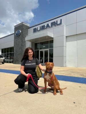 Subaru Shares The Love to Save Animals