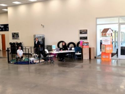 Ed Shults of Warren Subaru Hosts Pet Adoption Event!