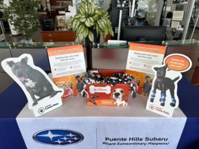 Sharing the Love, Hand Made Dog Chew Bar