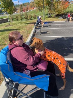 Mitchell Subaru & Dog Star Rescue Pet Adoption