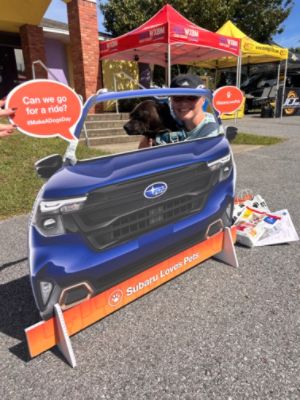 27 Pets Find Their Furever Home 