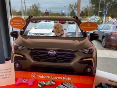 Subaru Loves Pets Adoption Month