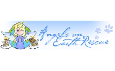 Angels on earth rescue