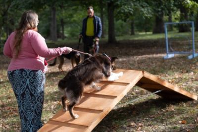 🐾 A Tail-Wagging Good Time at the 2025 ARPO Dog Olympics! 🐾