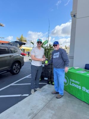 Distributing Trees in the Local Community