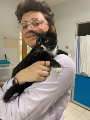 Helping Kittens in Need