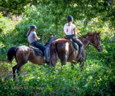 Lyme Hunter Pace at Lord Creek Farm-Lyme Trails Association