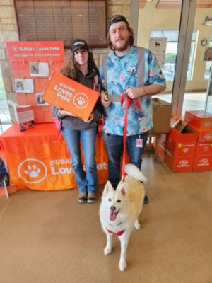 Rory’s Journey To A New Home