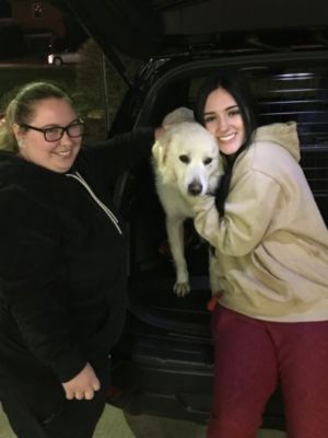 Lost Dog... Owner's Found!