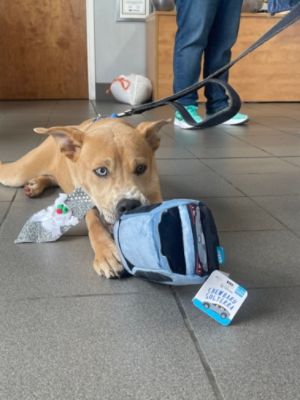 Thank you, Subaru World of Hackettstown for your support!