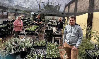 Growing Native Plants for Pollinators and People 