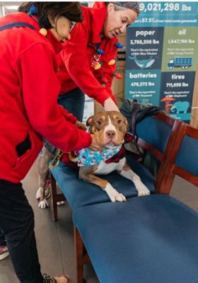 Our deepest appreciation to Fitzgerald Subaru of Gaithersburg