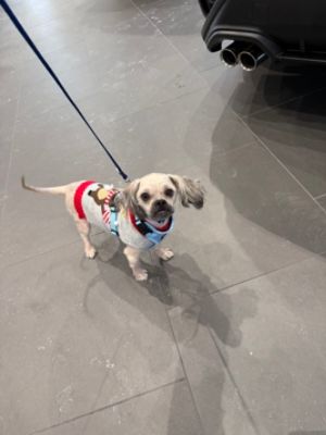 Subaru Shares the Love with FVHA