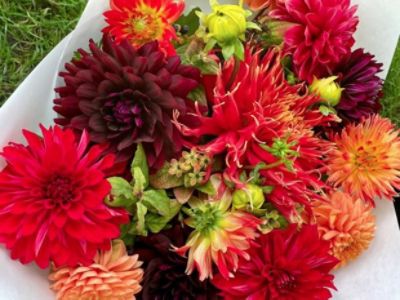 Harvesting Health and Happiness in the Gorge