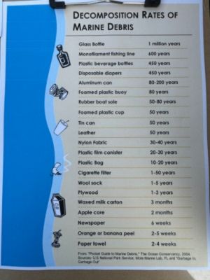 Subaru Loves the Earth Volunteers at Shepaug Dam