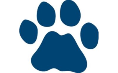 partnerCompanyName