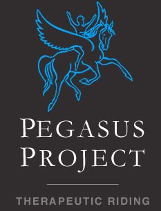 Pegasus Project