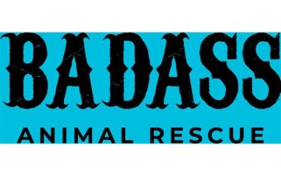 Badass Animal Rescue
