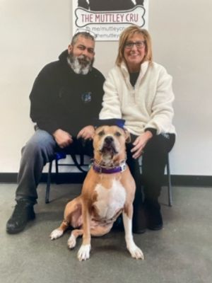 Rafferty Subaru Adoption Event