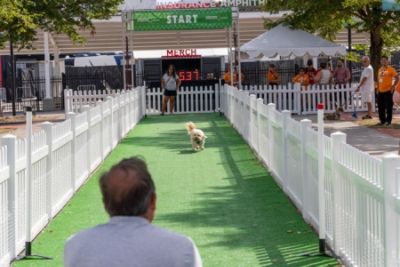 Schlossman Subaru City Supports Pets Helping People at Fromm Petfest