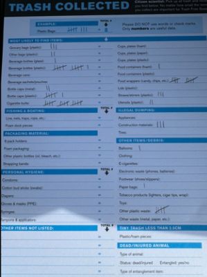 A Morning of Community and Clean Up at Rogers Park