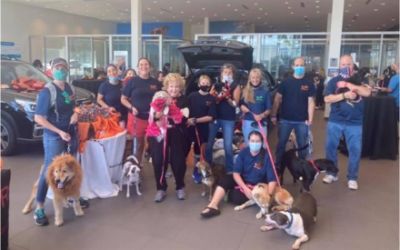 Subaru Loves Pet - Schumacher Dog Adoption Event 