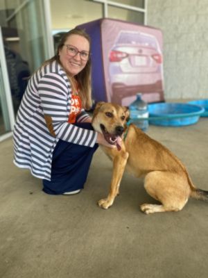 Paws, Pups, and Possibilities!