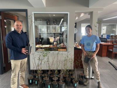 Turning leftover Trees into Lasting Impact