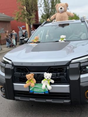 Teddy Bears to the Rescue